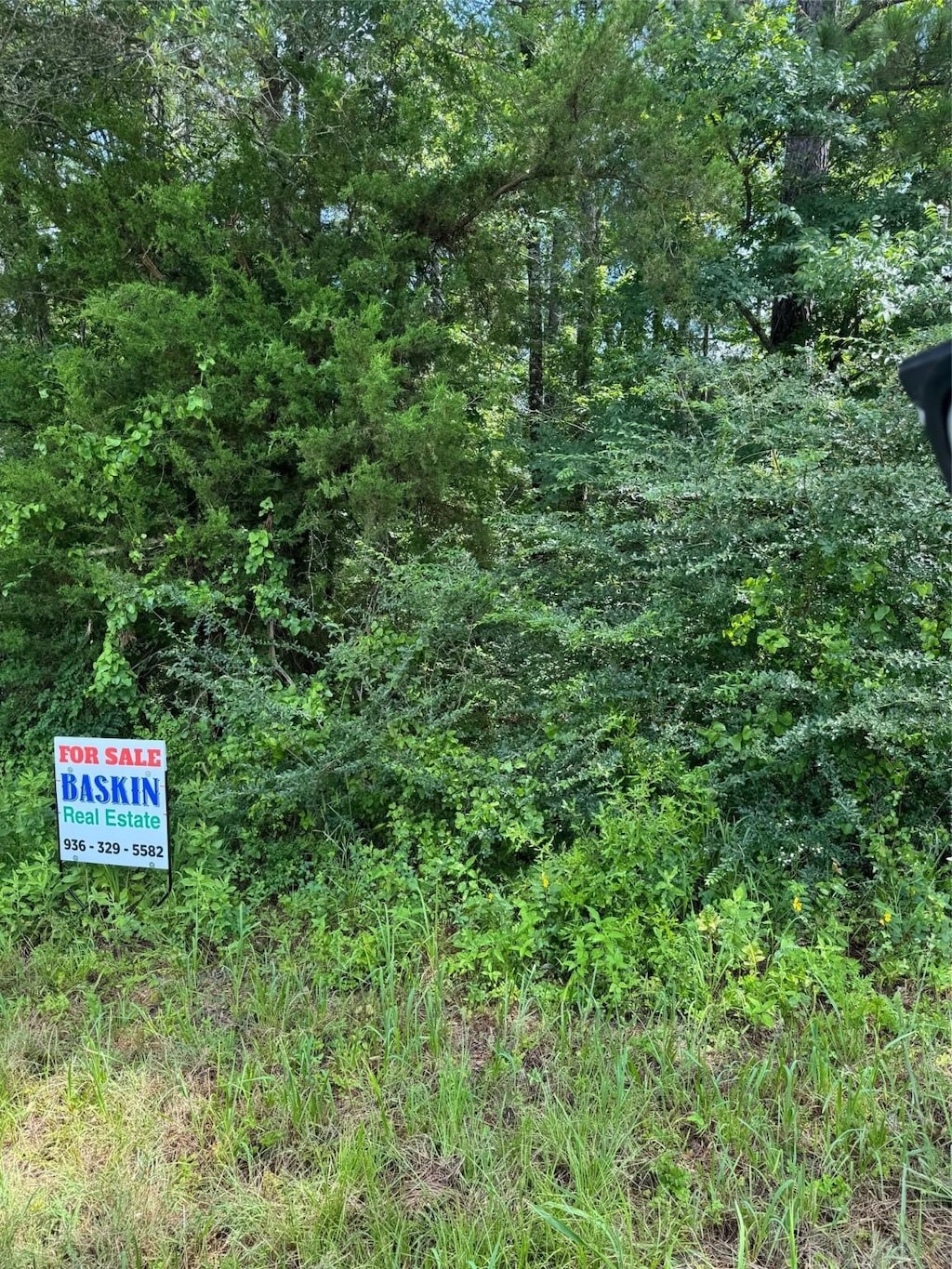 0000 Old Wells Hwy, Pollok, TX 75969