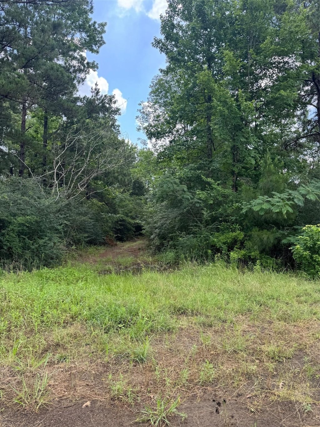 0000 Old Wells Hwy, Pollok, TX 75969