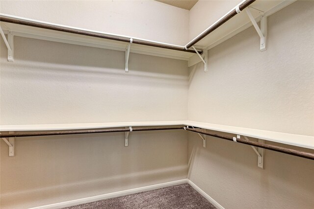 18506 Gardens End Ln, Houston, TX 77084 - walk in closet with carpet flooring