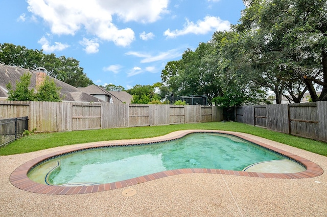 206 Wild Oak Run, Houston, TX 77094 - photo 47