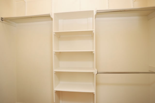 8006 Virginia Water Ln, Houston, TX 77095 - view of walk in closet
