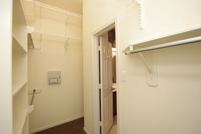8006 Virginia Water Ln, Houston, TX 77095 - walk in closet with dark colored carpet