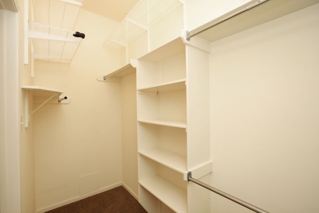 8006 Virginia Water Ln, Houston, TX 77095 - spacious closet featuring dark colored carpet