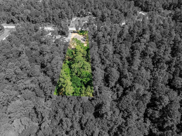 234 Feldspar Ln, Huntsville, TX 77340 - aerial view of property's location with a heavily wooded area