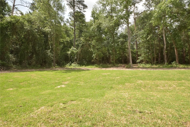 234 Feldspar Ln, Huntsville, TX 77340 - view of green lawn
