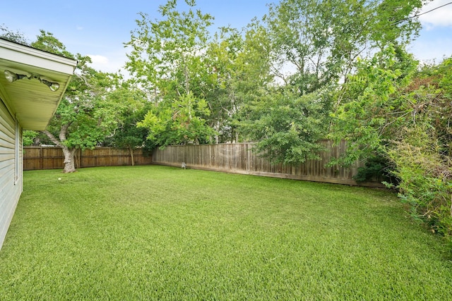 5814 Darnell St, Houston, TX 77074 - view of yard