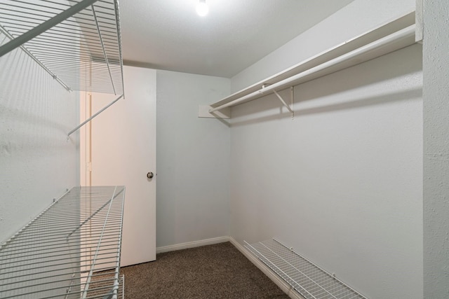820 Threadneedle St Unit 248, Houston, TX 77079 - walk in closet featuring carpet floors