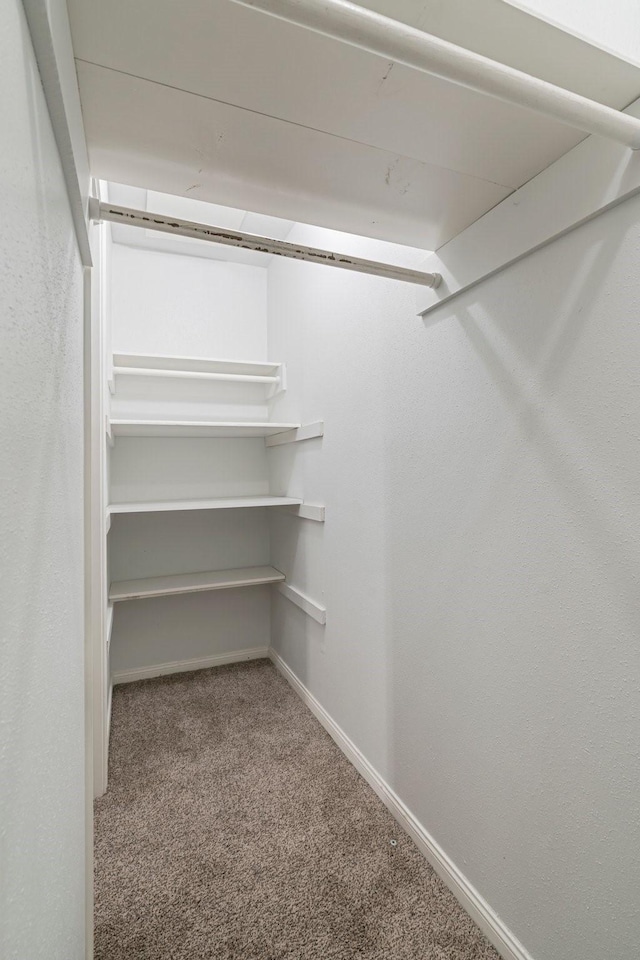 820 Threadneedle St Unit 248, Houston, TX 77079 - spacious closet with carpet