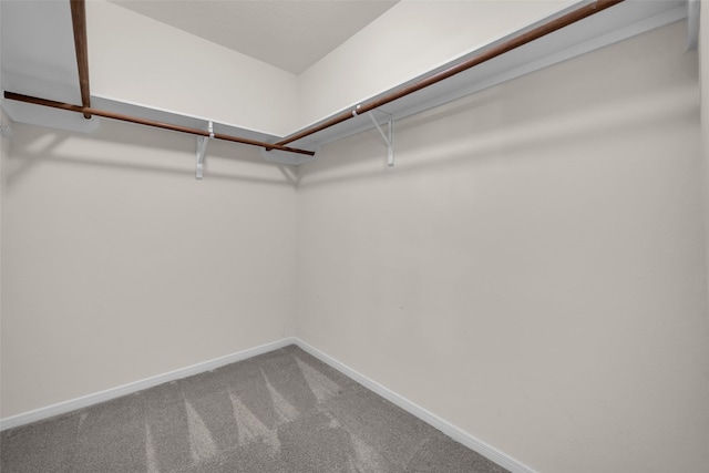 18423 Grove Brook Ln, Cypress, TX 77429 - walk in closet with carpet floors