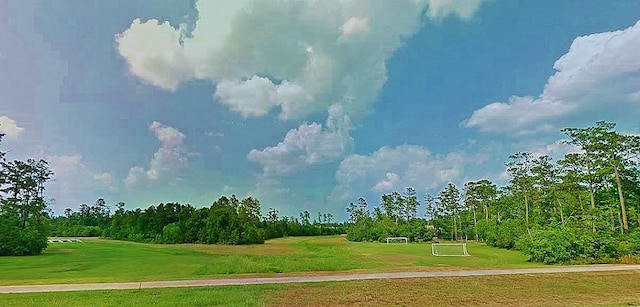 23 Shellbark, The Woodlands, TX 77382 - view of home's community featuring an area for sports