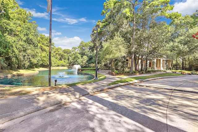 13303 Canton Cliff Ct, Humble, TX 77346 - surrounding community featuring a water view