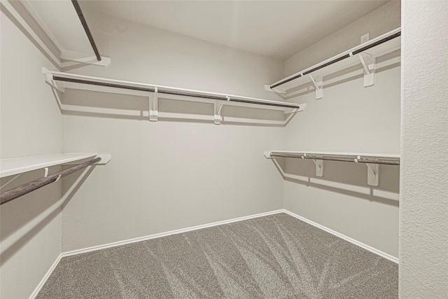 20910 Corisande St, Katy, TX 77449 - walk in closet featuring carpet