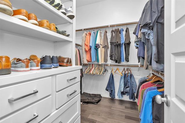 20423 Noble Arabian Dr, Tomball, TX 77377 - spacious closet with wood finished floors