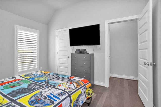 20423 Noble Arabian Dr, Tomball, TX 77377 - bedroom with dark wood-type flooring, lofted ceiling, and a closet