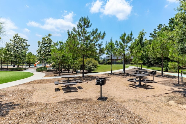 25514 Long Iron Ct, Spring, TX 77389 - view of community