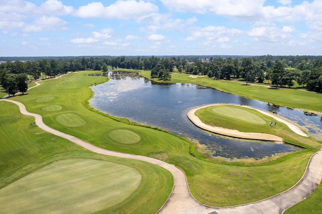 25514 Long Iron Ct, Spring, TX 77389 - drone / aerial view of a large body of water and a golf club