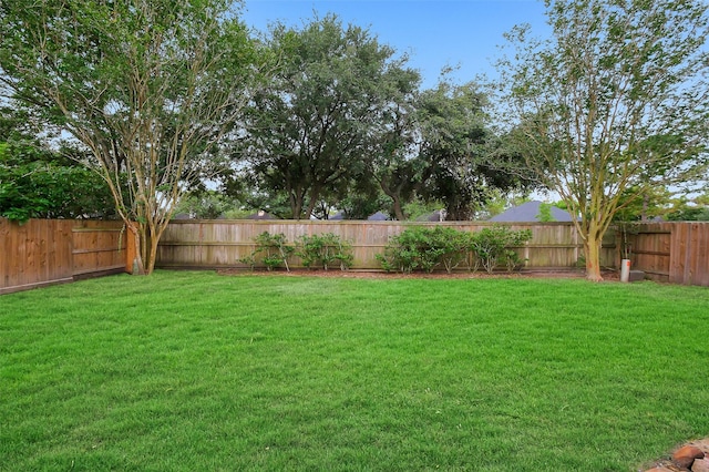 3606 Mira Glen Dr, Pearland, TX 77584 - view of yard