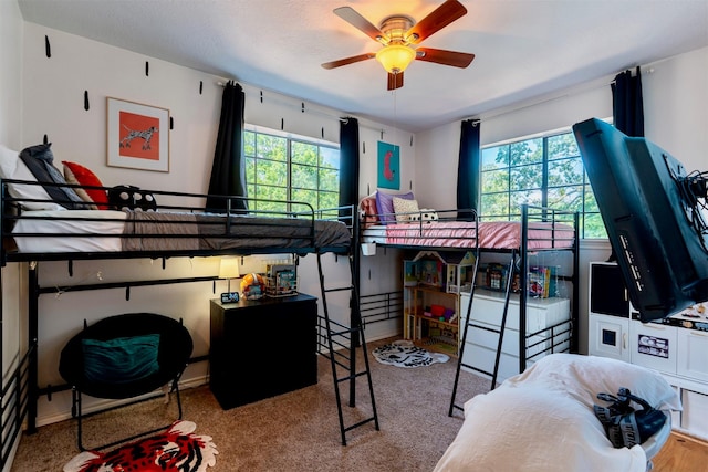 5343 Appleblossom Ln, Friendswood, TX 77546 - bedroom with multiple windows and carpet floors