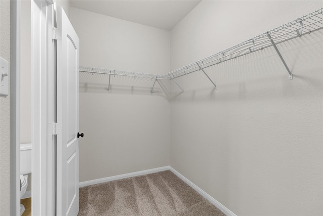7571 Fettle Ln, Conroe, TX 77304 - spacious closet with carpet flooring