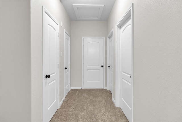 7571 Fettle Ln, Conroe, TX 77304 - corridor featuring carpet floors and baseboards