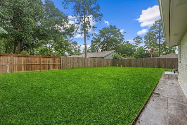 30307 Thorsby Dr, Spring, TX 77386 - view of yard