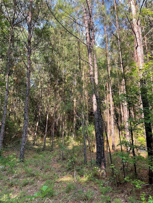 2 US Highway 190th Dr E, Huntsville, TX 77340 - photo 2