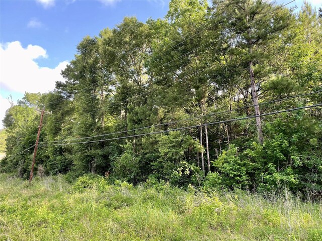 2 US Highway 190th Dr E, Huntsville, TX 77340 - photo 4
