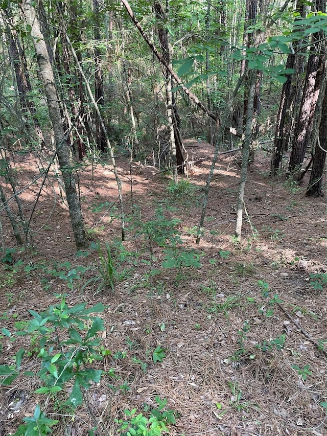 2 US Highway 190th Dr E, Huntsville, TX 77340 - photo 6