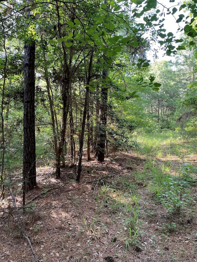 2 US Highway 190th Dr E, Huntsville, TX 77340 - photo 8