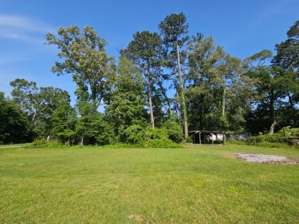 0 Burning Tree Ln, New Caney, TX 77357