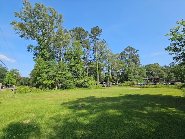 0 Burning Tree Ln, New Caney, TX 77357