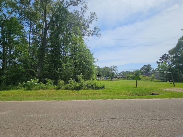 0 Burning Tree Ln, New Caney, TX 77357