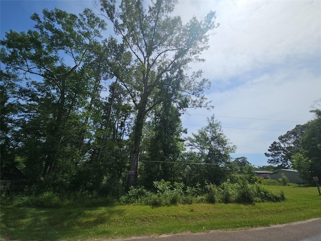 0 Burning Tree Ln, New Caney, TX 77357
