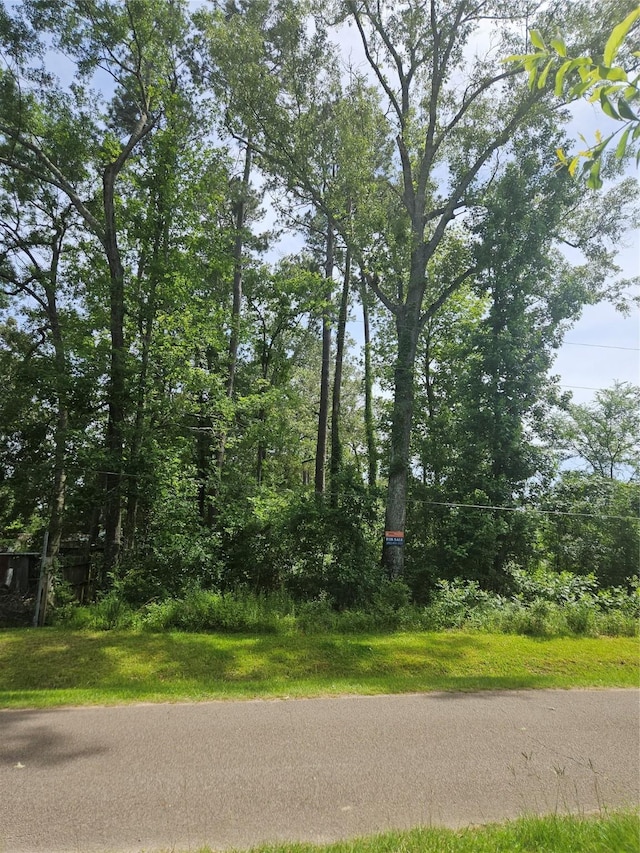 0 Burning Tree Ln, New Caney, TX 77357