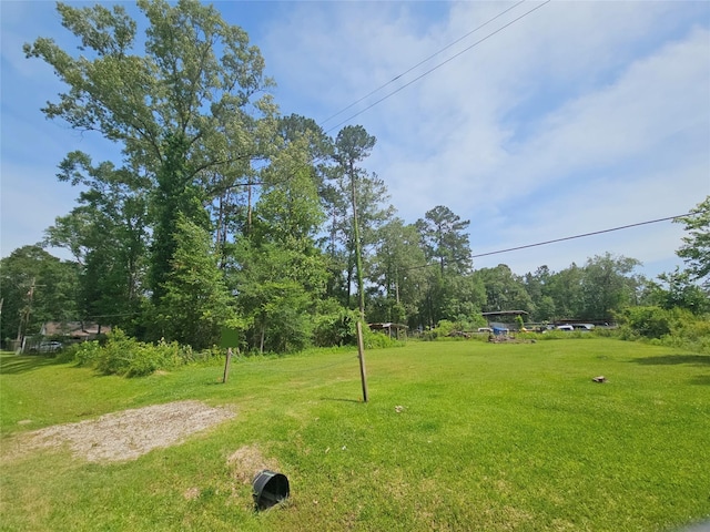 0 Burning Tree Ln, New Caney, TX 77357