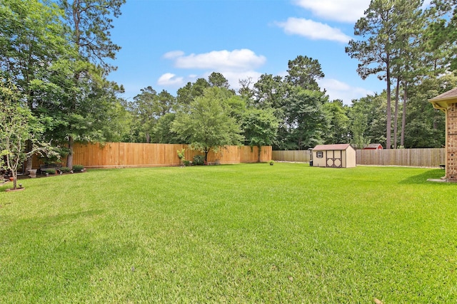 18 Brookefield Cir, Magnolia, TX 77355 - view of yard