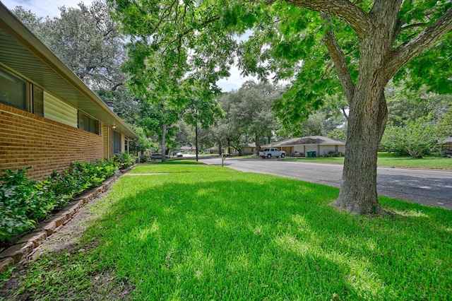 906 Carlee Dr, Brenham, TX 77833 - view of green lawn with asphalt driveway