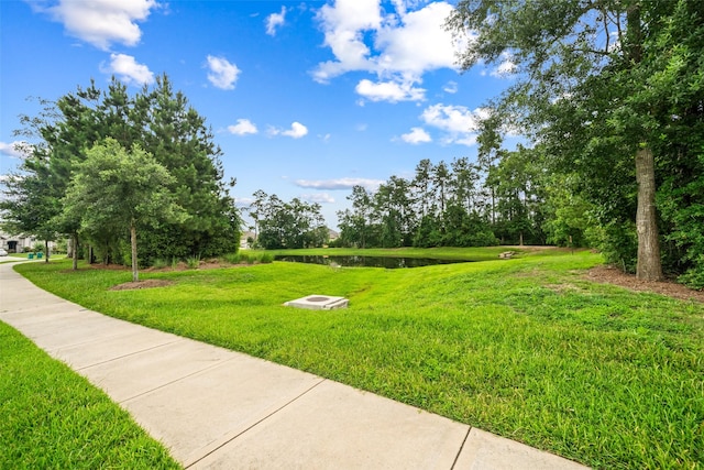 4236 Waterlily Spring Way, Porter, TX 77365 - view of grassy yard featuring a water view