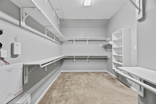10506 Star Thistle Ct, Cypress, TX 77433 - spacious closet featuring carpet