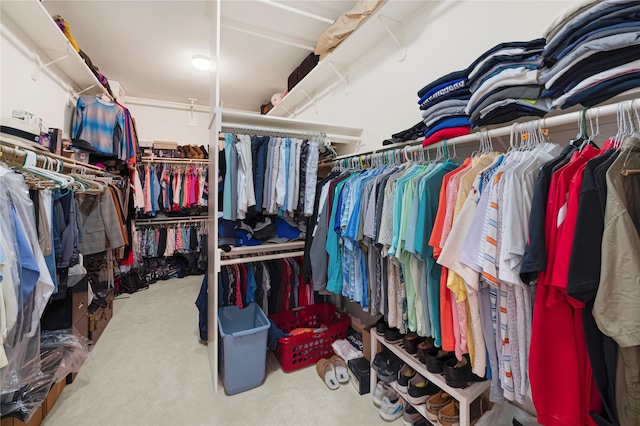 2005 Mistwood Ct, Pearland, TX 77584 - spacious closet featuring carpet