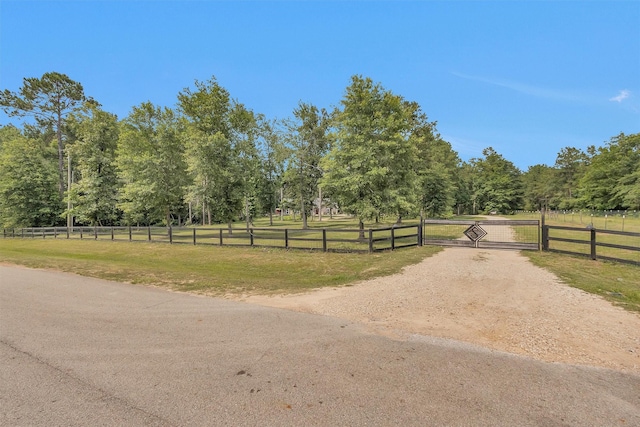 4142 Longhorn Dr, Cleveland, TX 77328 - view of yard with a gate, a rural view, and a forest view