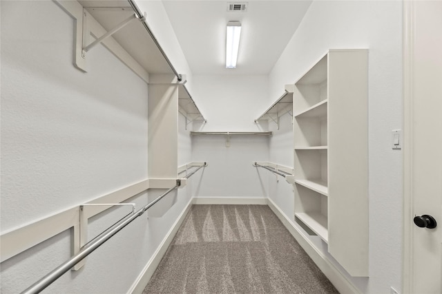 4510 Cedarfield Rd, Katy, TX 77494 - walk in closet with carpet