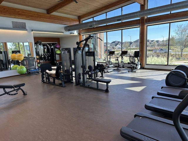 24227 Tallgrass Meadow Trl, Katy, TX 77493 - workout area with plenty of natural light and beamed ceiling