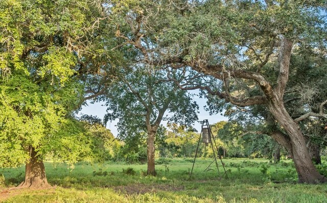 0 Fm 1822, Edna, TX 77957 - photo 19