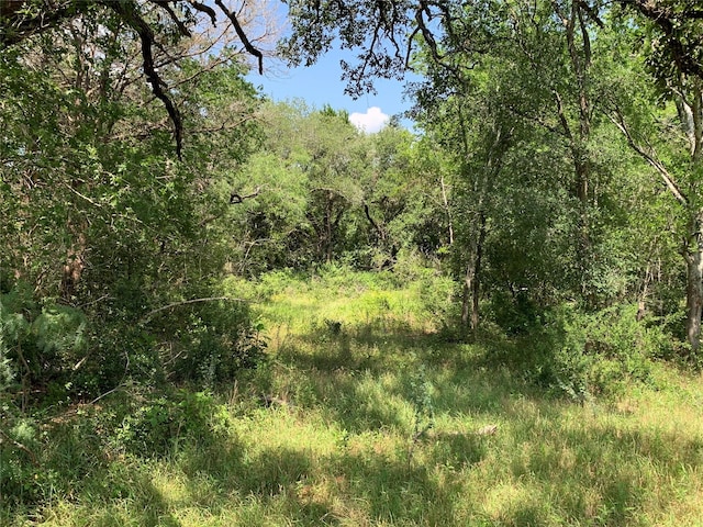 TBD Fm 532, Moulton, TX 77975