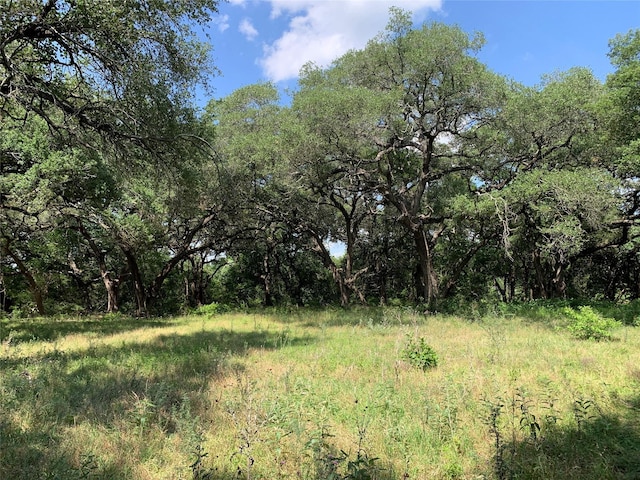 TBD Fm 532, Moulton, TX 77975