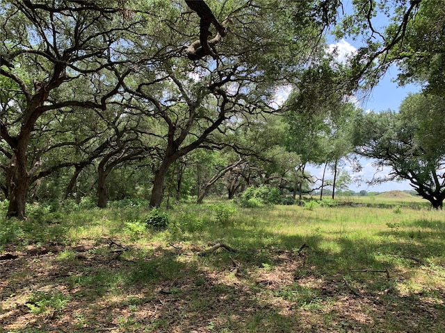 TBD Fm 532, Moulton, TX 77975