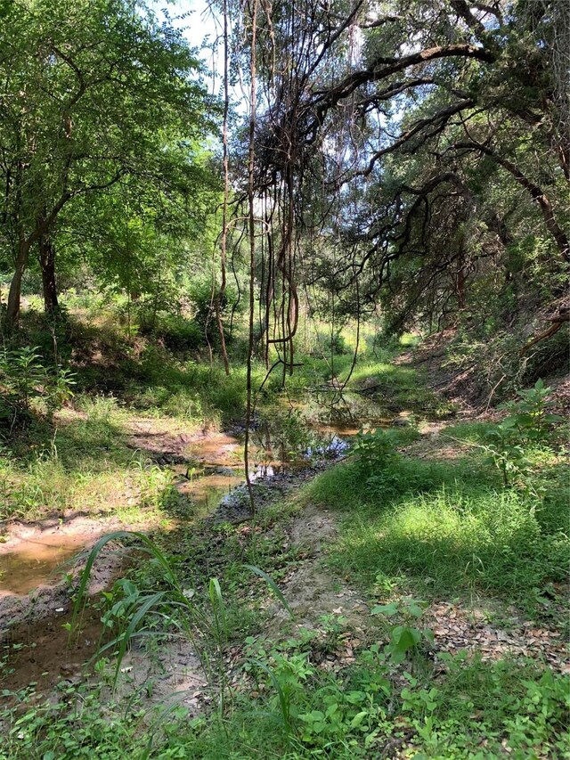 TBD Fm 532, Moulton, TX 77975