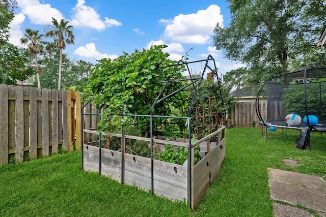 16418 Willowpark Dr, Tomball, TX 77377 - view of yard with a trampoline and a garden