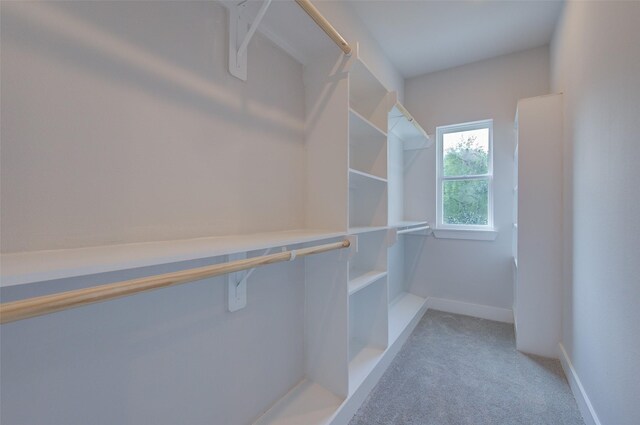847 Rachel St Unit G, Houston, TX 77091 - photo 14